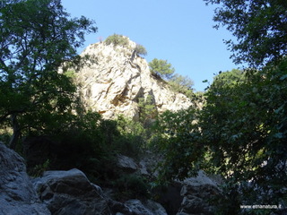 stoleone-09-08-2020 09